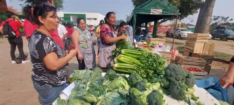 Organizan feria "Del campo a la olla" en Santa Cruz para este viernes