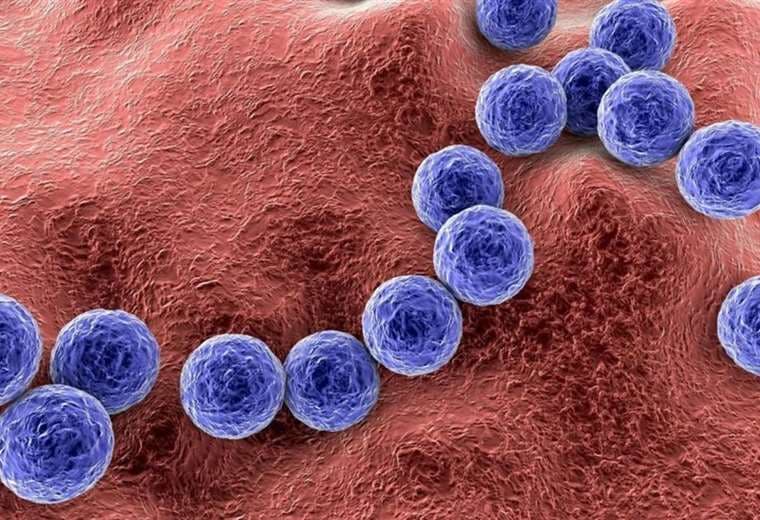 Lanzan alerta epidemiológica por brote de Streptococcus en Cochabamba