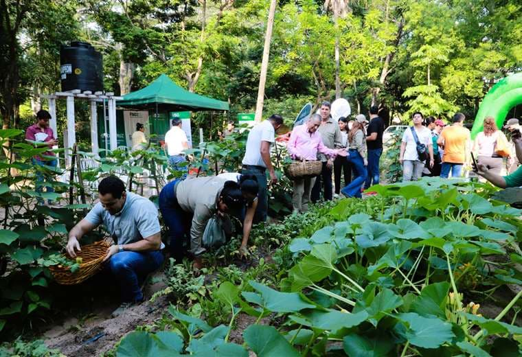 Gobernación inaugura nuevo Huerto Escuela Galileo en el Vivero del Searpi