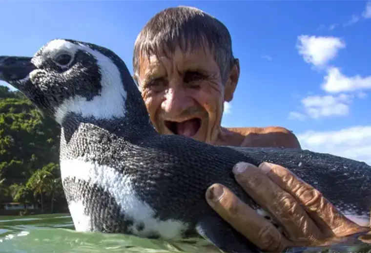 "Mi amigo el pingüino": la increíble historia de una amistad que conmovió al mundo y fue llevada al cine con el actor Jean Reno