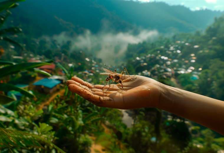 El cambio climático propicia el auge de las enfermedades tropicales desatendidas