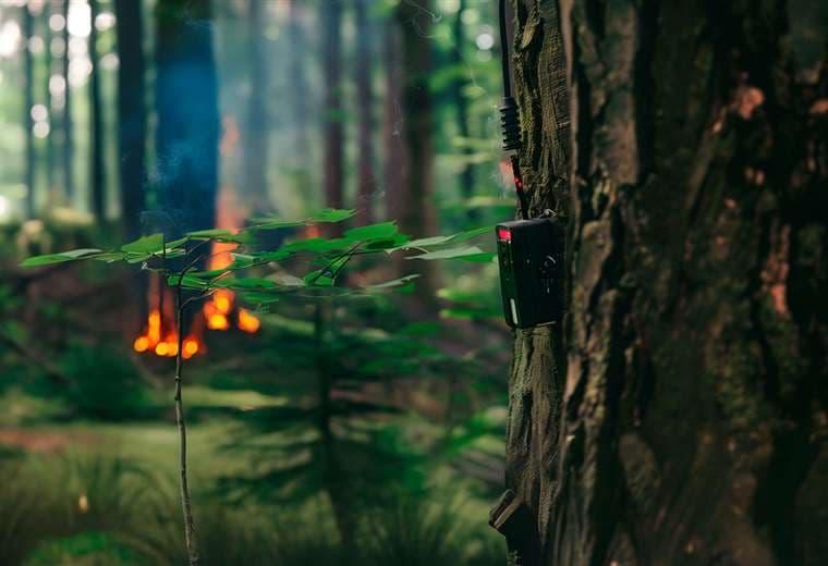 Tunari Safenet: un sistema de sensores y drones para prevenir incendios ideado por estudiantes