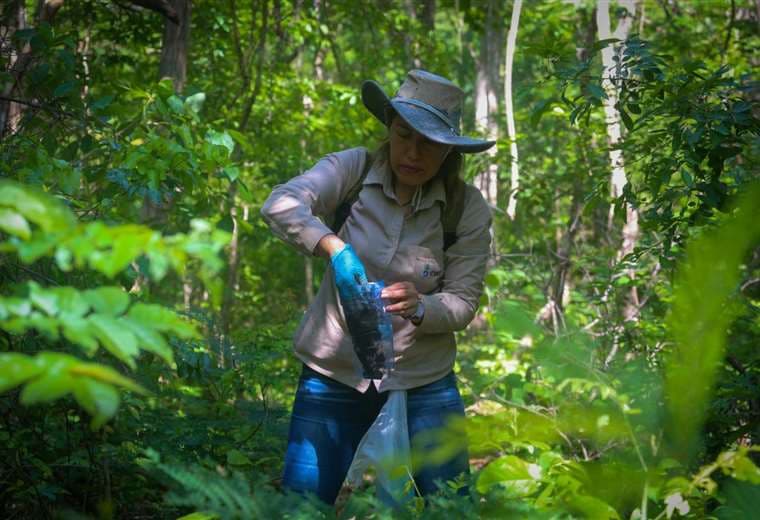 CIAT refuerza su compromiso con la investigación y recuperación de tierras afectadas por los incendios 