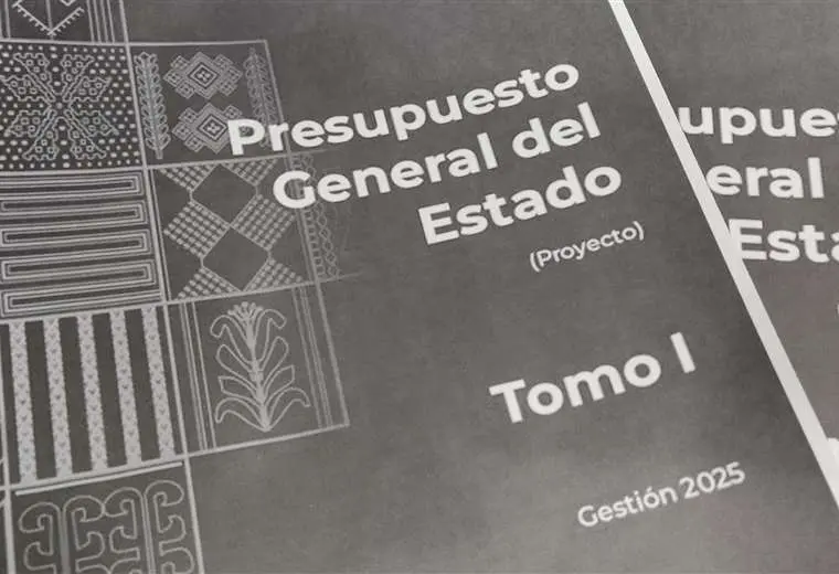 Diputados y senadores tendrán Bs 267 millones de presupuesto en 2025 