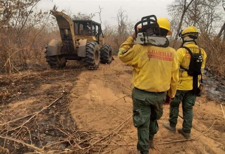 Anuncian reforestación masiva tras incendios que afectaron más de 10 millones de hectáreas en Bolivia