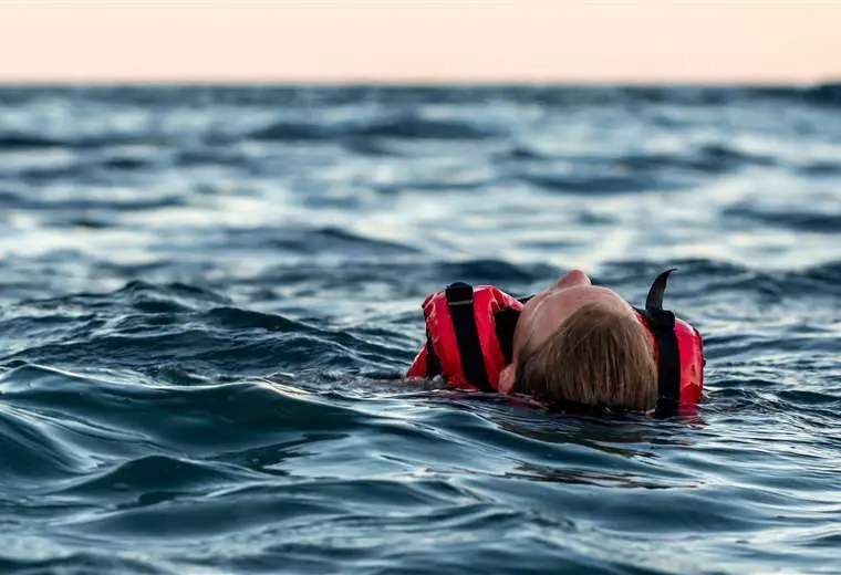 Por qué los humanos no podemos beber agua de mar a diferencia de las ballenas y los delfines