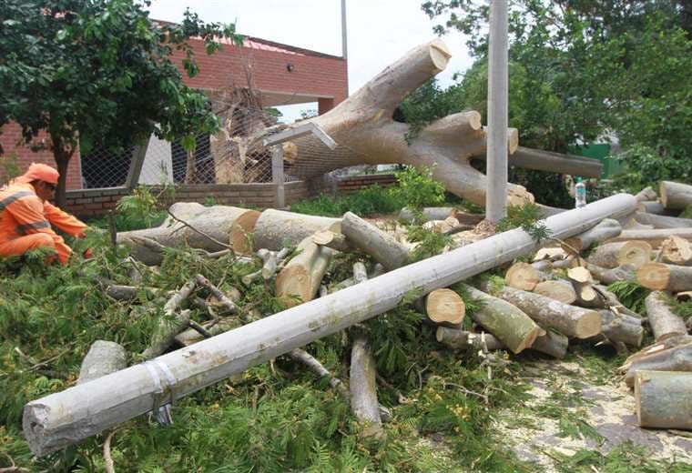 Fuertes vientos provocan la caída de 10 árboles sobre viviendas y ocho sobre vehículos