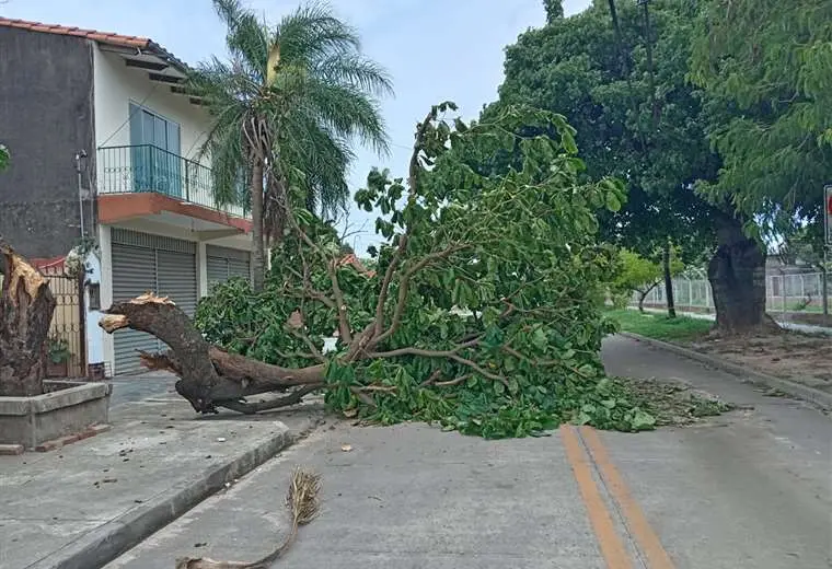 Fuertes vientos empañaron la Nochebuena con apagones y caída de árboles en la capital cruceña