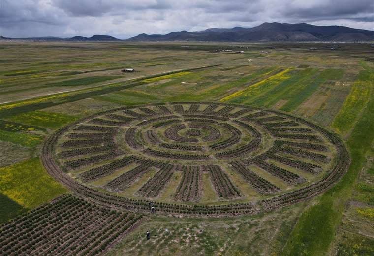  Una vista aérea revela geoglifos fabricados por la comunidad de Caritamaya (Puno) / AFP 