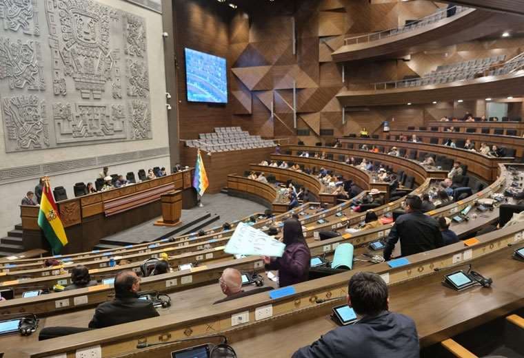 Una pasada sesión legislativa. Foto: Vicepresidencia 