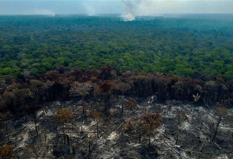 Este mes se registraron casi 3.000 incendios forestales en la Amazonía brasileña / AFP