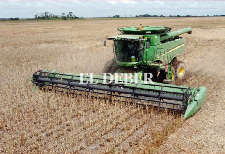 El precio de la tonelada de soya cae por debajo de los $us 400 por primera vez en cuatro años