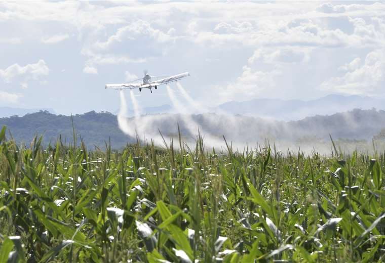Bolivia esta atrasada en el uso de agroquímicos "amigables" con el entorno /Foto: ABI
