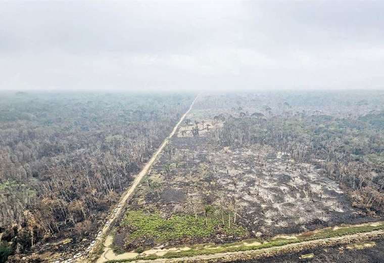 Daño medioambiental causado por los incendios en Santa Cruz/Foto: El Deber