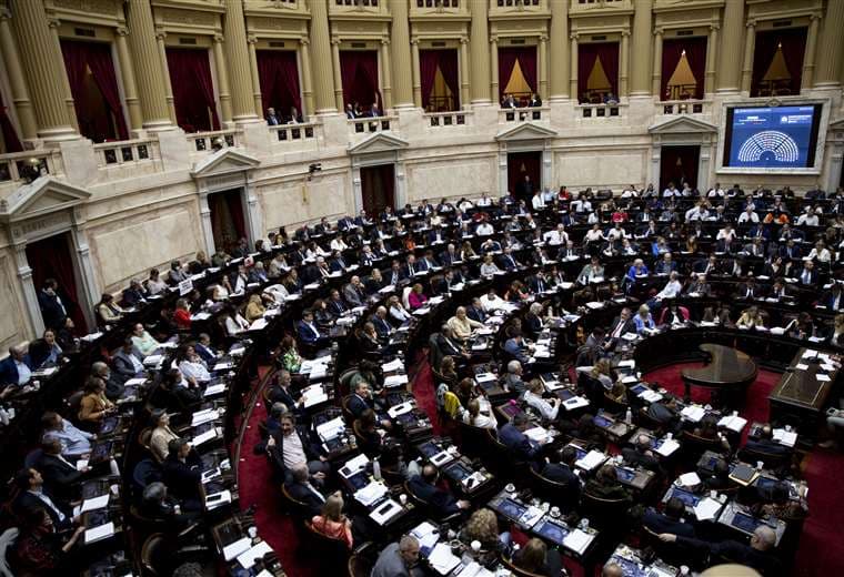  La Cámara de Diputados vota en el Congreso las primeras reformas de Milei / AFP
