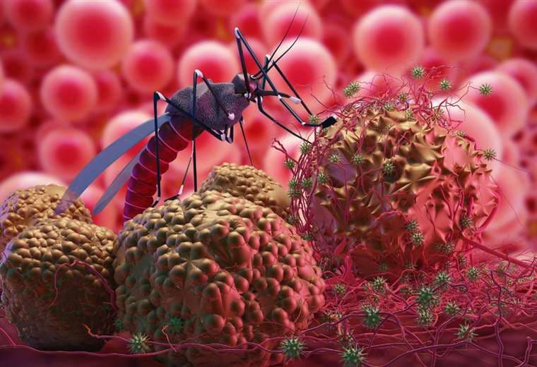 Cobija: detectan 44 casos de malaria en El Sena y diez conscriptos con dengue 