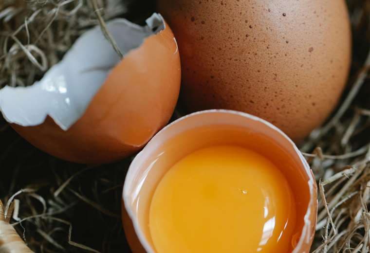 La cáscara de huevo y su importante aporte en beneficio de la salud 