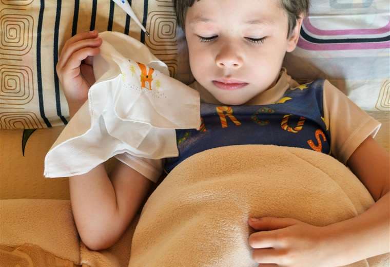 Los males respiratorios que tienen los mismos cuidados: gripe, resfriado e influenza