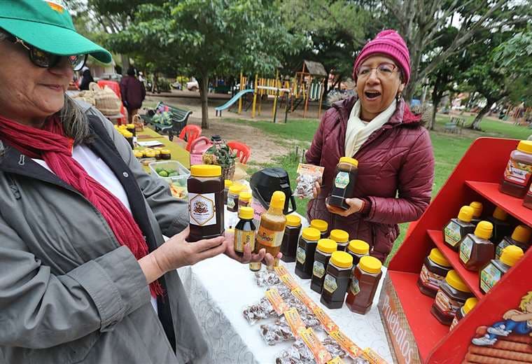 Raquel Cortez, vicepresidenta de los apicultores de Porongo. Foto: Fuad Landívar