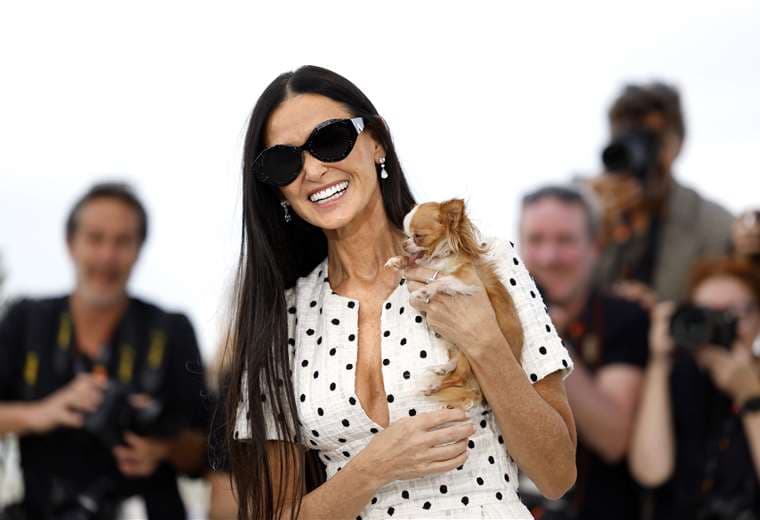 El chihuahua de Demi Moore se convierte en la 'verdadera estrella' del Festival de Cannes