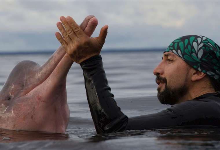 Omacha: la fascinante historia del "hombre delfín" colombiano nombrado Explorador del Año de National Geographic