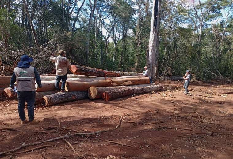 ABT secuestra 320 troncas de madera valuadas en Bs 130.000 en San Ignacio de Velasco