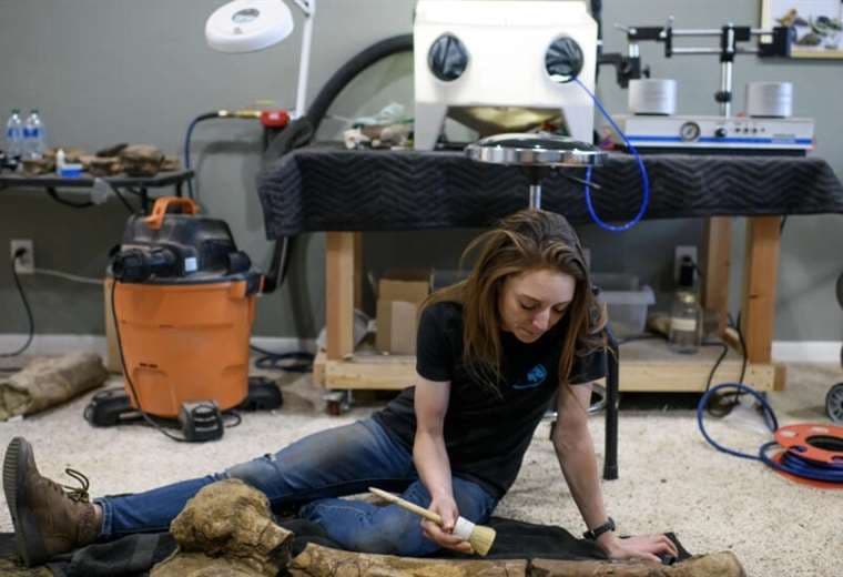 La restauradora Lauren McClain limpia un fémur de dinosaurio en Houston / AFP
