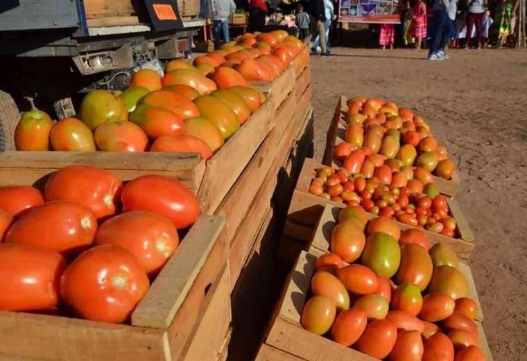 Argentina busca tomate en la frontera boliviana por su bajo precio