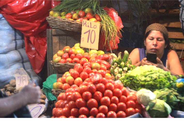 Baja el precio del tomate en Santa Cruz. Foto. EL DEBER 