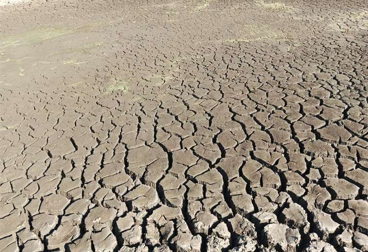 La sequía golpea a Bolivia, suman más de 51.000 familias afectadas y damnificadas
