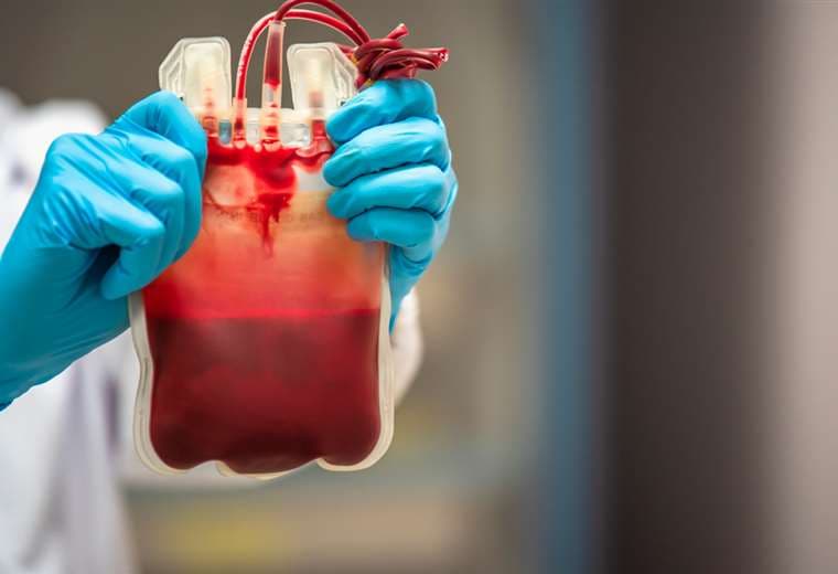 Cada 14 de junio se celebra el Día Mundial del Donante de Sangre 