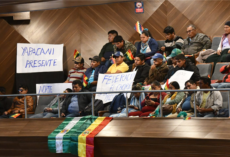Diputados aprueban proyecto de ley que exige Yapacaní y pasa al Senado para continuar el tratamiento 
