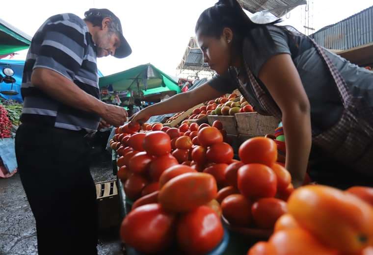 El precio del tomate baja a Bs 6 luego de estar en Bs 20 el kilo
