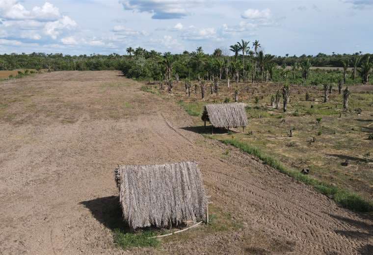 El INRA espera terminar el saneamiento en 2025 /Foto: Miguel Surubi