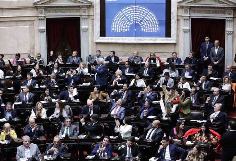 El Congreso argentino concedió la primera victoria legislativa a Javier Milei / AFP 