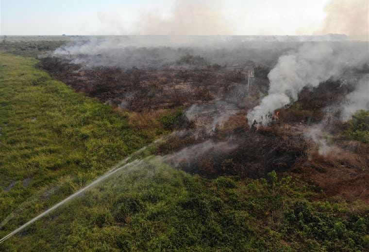 Más de 52 mil hectáreas quemadas en lo que va de junio; hay citaciones
