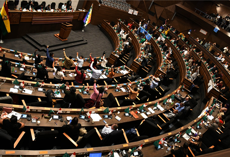Remiten a la Asamblea cinco proyectos ‘judiciales’ del evismo y dos créditos del arcismo 