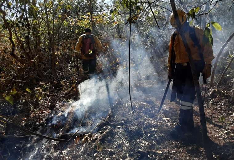 Combaten seis incendios forestales en Santa Cruz; hay 72.843 hectáreas afectadas