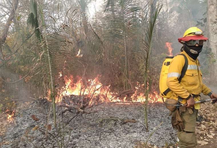 Incendios activos afectan 131.840 hectáreas en Santa Cruz