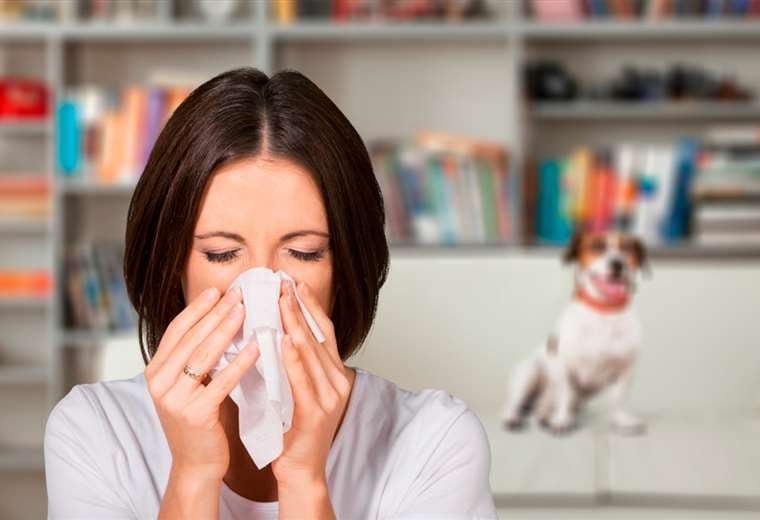 Las alergias alimentarias son la causa más común de anafilaxia