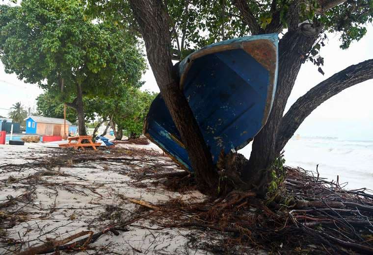 Un bote quedó encima de un árbol tras el paso del huracán Beryl en Barbados/Foto: AFP