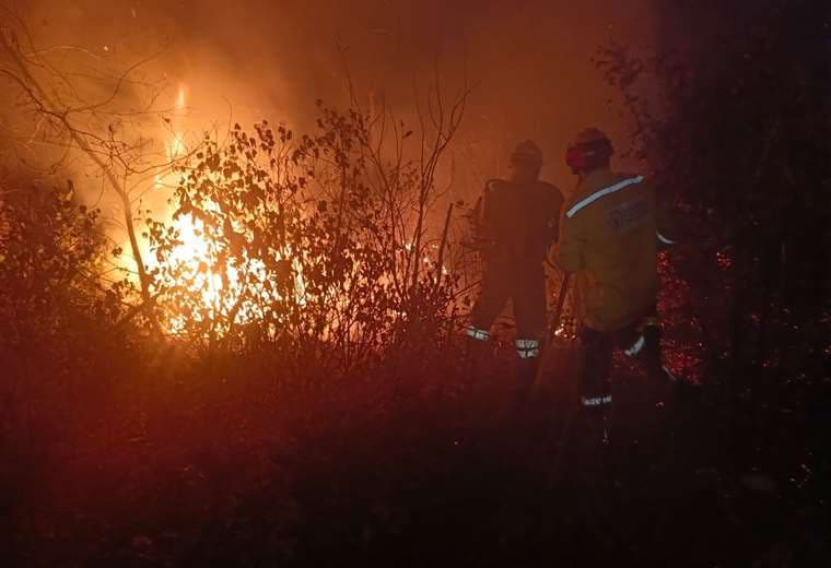 Incendios forestales | Foto: Gobernación 