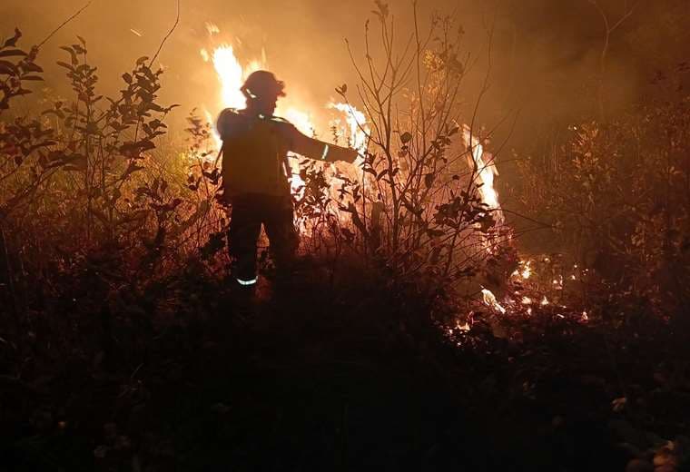 Incendios forestales | Foto: Gobernación 