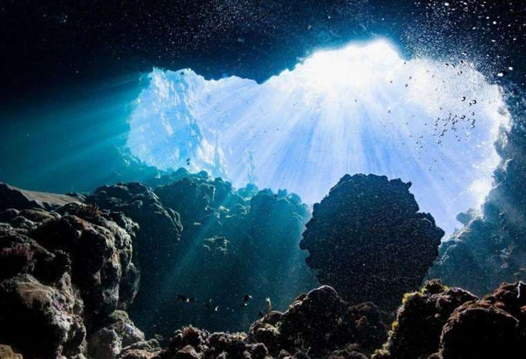 “Oxígeno oscuro”: qué es y por qué sorprende que haya sido descubierto en el fondo del océano 