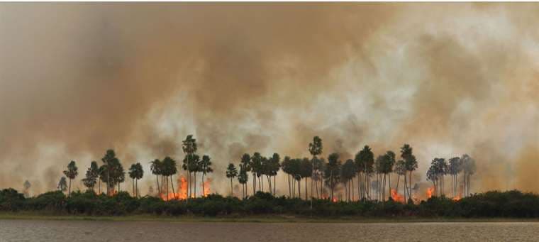 Incendio en el Pantanal boliviano/Foto: Mongabay Latam