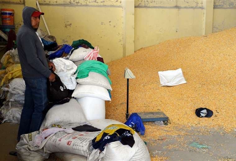 El costo del maíz se incrementa /Foto: Juan Carlos Torrejón 