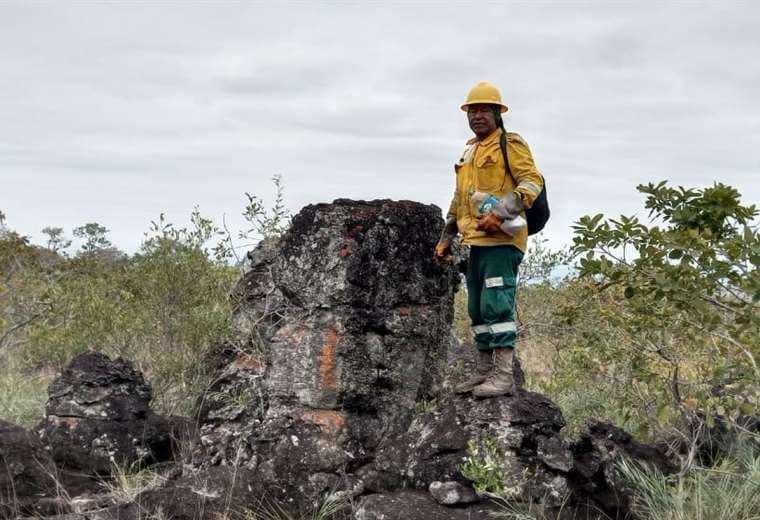 El sacrificio silencioso de los guardianes del bosque: bomberos forestales comunales salen a defender su hogar de las llamas