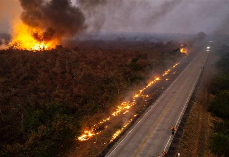Incendios forestales: el sacrificio silencioso desde las comunidades en defensa de la vida y el bosque