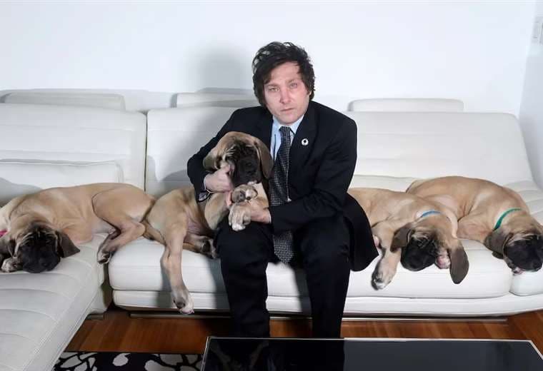 Javier Milei, presidente de Argentina, y sus perros / Caras 