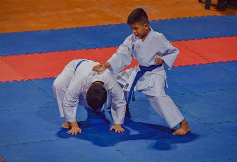 Imagen de la competencia en la modalidad kata, categoría infantil. Foto: Feboka
